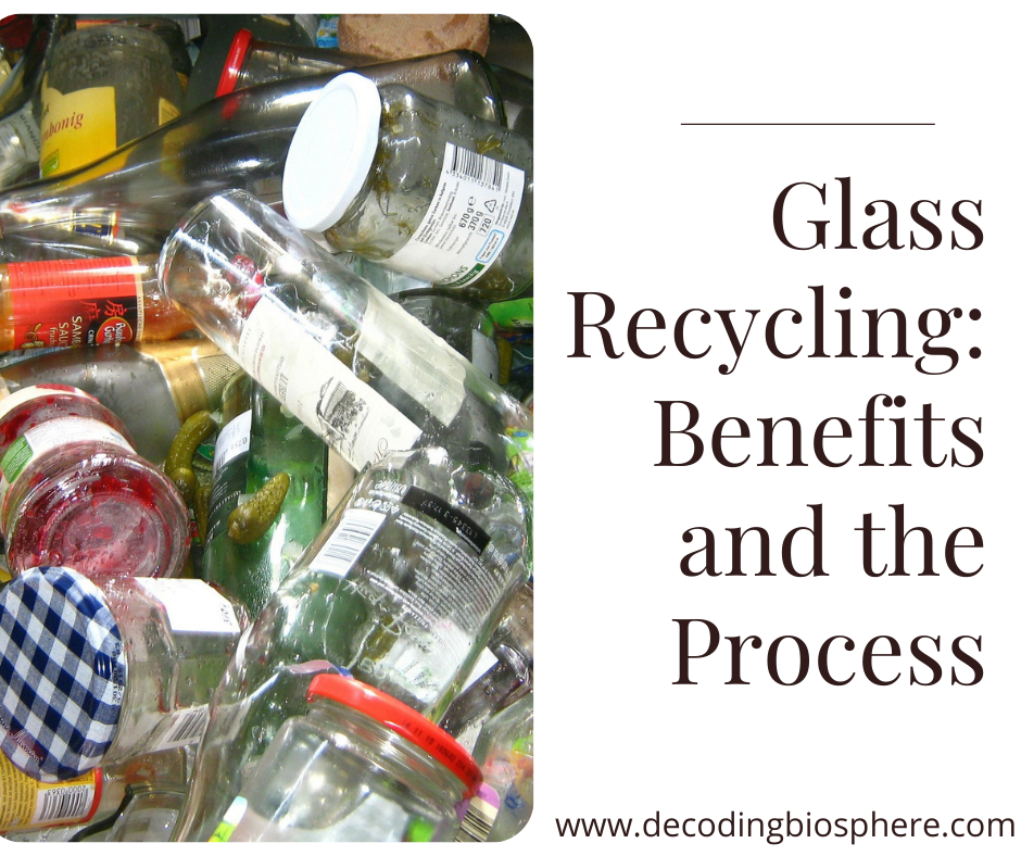 Glass Recycling: Benefits and the Process