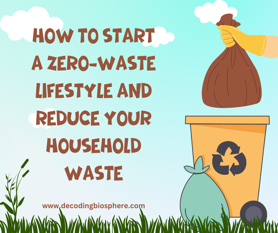 How to start a Zero-waste Lifestyle and Reduce your Household Waste