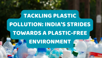 Tackling Plastic Pollution India's Strides towards a Plastic-Free Environment