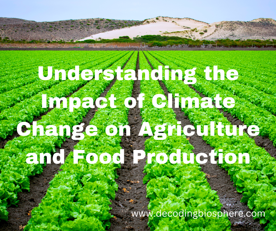 Understanding the Impact of Climate Change on Agriculture and Food Production