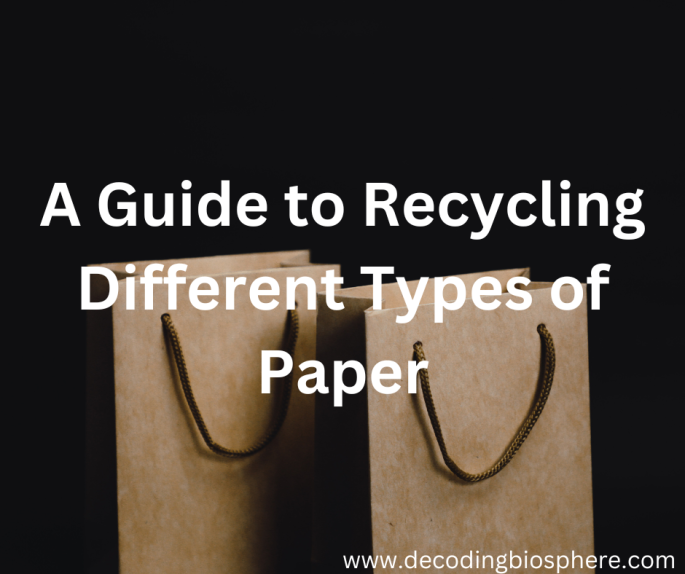 A Guide to Recycling Different Types of Paper