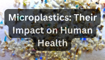 Microplastics impact on Human Health