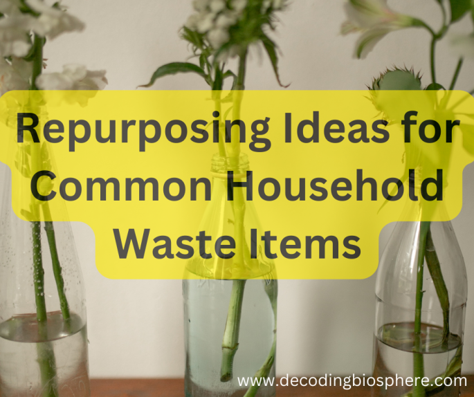 Repurposing Ideas for Common Household Waste Items