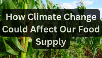 How Climate Change Could Affect Our Food Supply