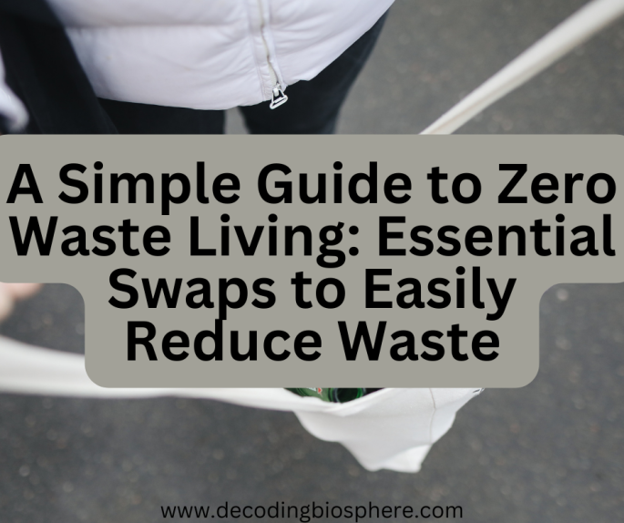 Zero Waste Living
