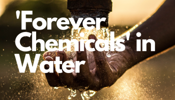 Forever Chemicals in Water