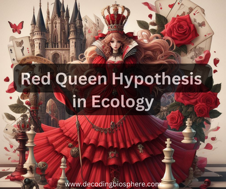 What is a Red Queen Hypothesis in Ecology