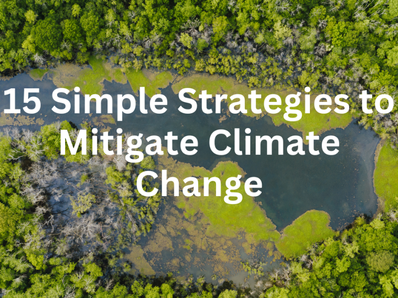 15 Simple Strategies to Mitigate Climate Change